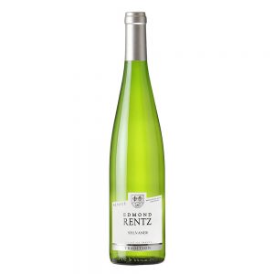 vin-alsace-tradition-sylvaner-rentz